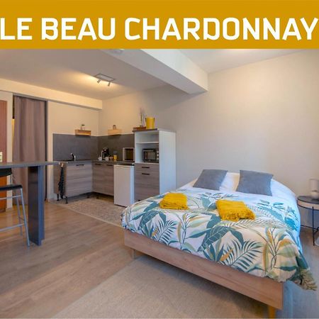 Le Beau Chardonnay, Au Coeur De Chablis Apartment Bagian luar foto